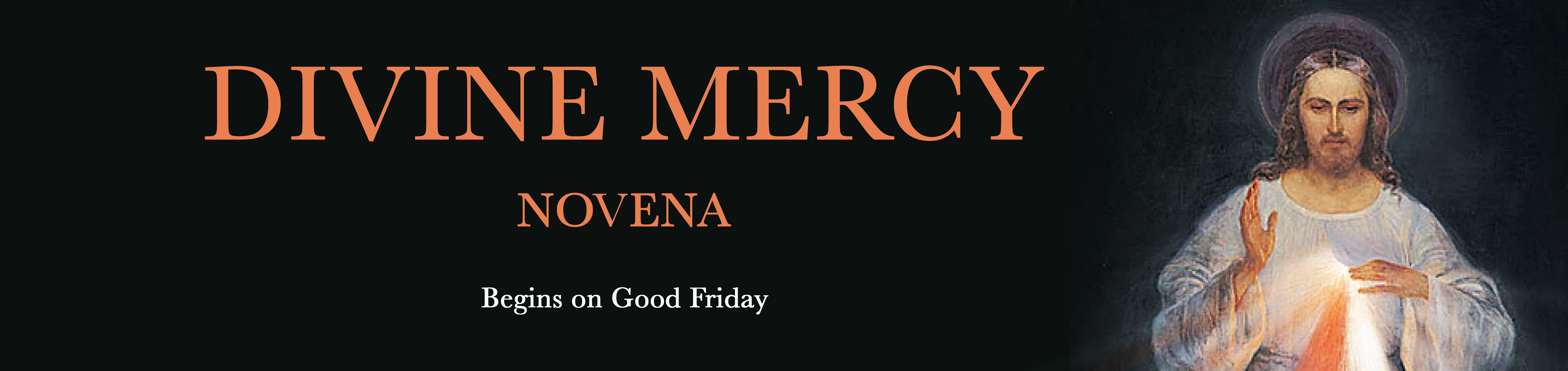 Divine Mercy banner