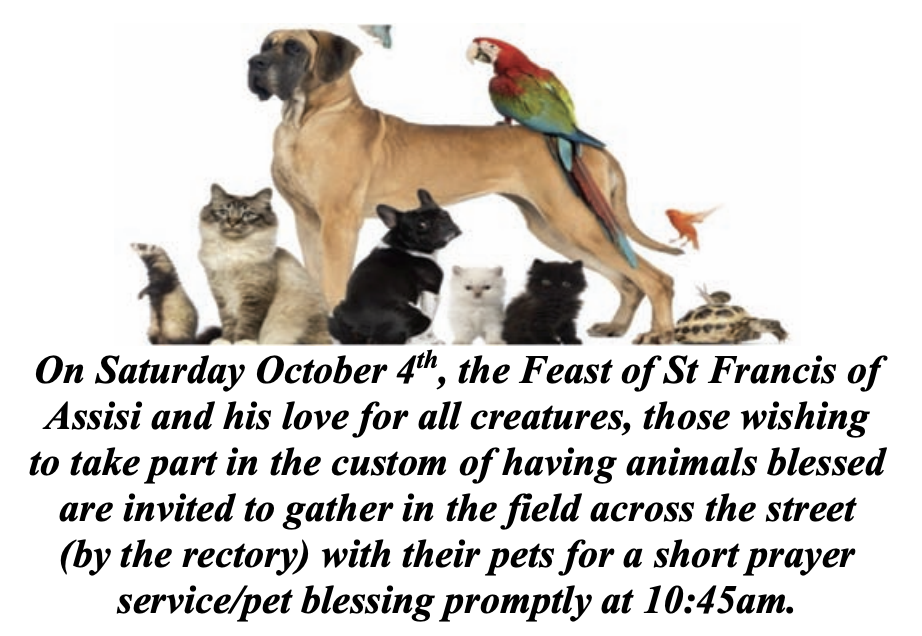 Pet Blessing 2025