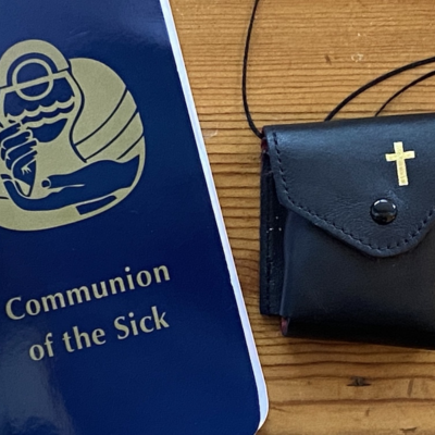 Communion to the sick book with pix